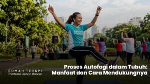 Proses Autofagi dalam Tubuh: Manfaat dan Cara Mendukungnya